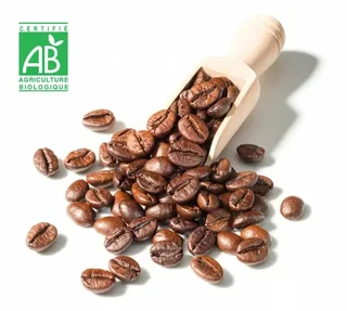 1 kg – Caffè in grani – Miscela Espresso 100% Arabica biologica – DESTINATION