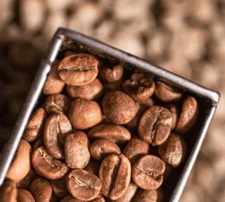 1 kg – Zrno kafe – Mešavina Signature – BRÛLERIE CARON