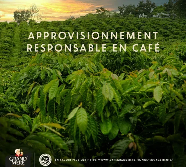 Καφές σε Κόκκους 1kg - Ισορροπημένος - GRAND MERE