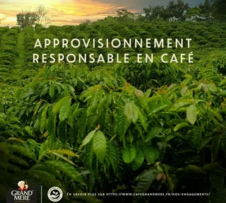 Κόκκοι Καφέ 1kg - Δυνατός - GRAND MERE