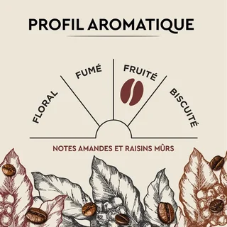 10 Kapsułek Nespresso* Original Cuvée de caractère - CARTE NOIRE