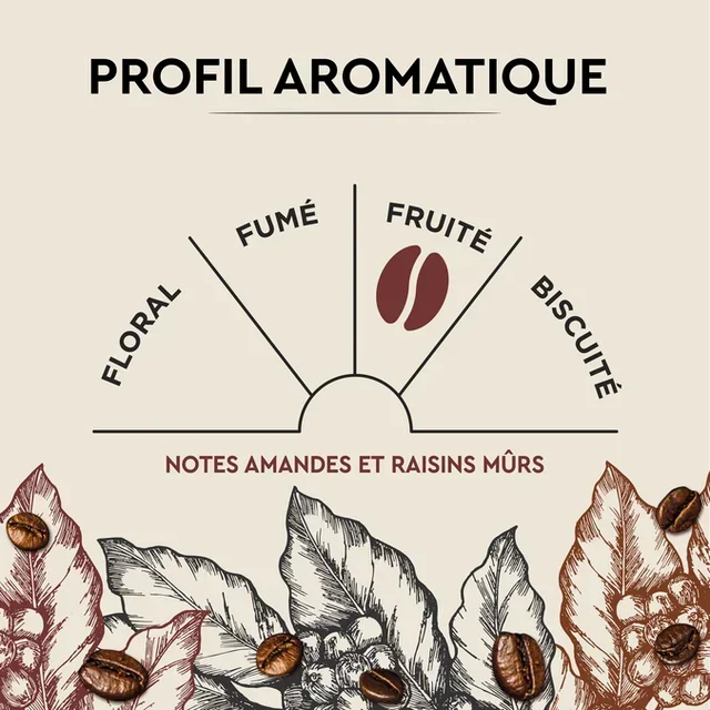 10 Kapsułek Nespresso* Original Cuvée de caractère - CARTE NOIRE