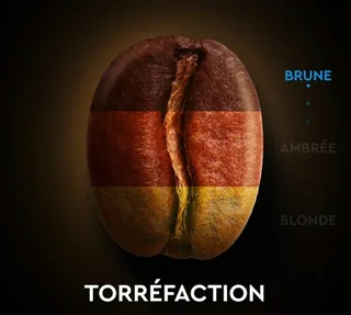 10 kapslar CARTE NOIRE Espresso Koffeinfritt - Kompatibla med Nespresso* Original