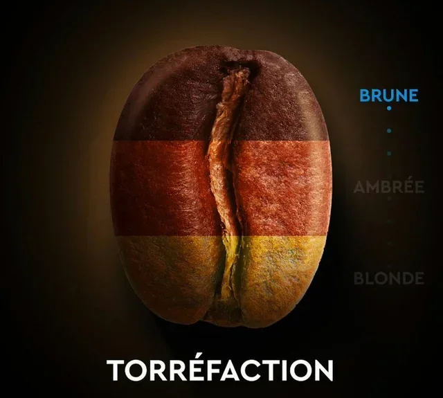 10 kapslar CARTE NOIRE Espresso Koffeinfritt - Kompatibla med Nespresso* Original