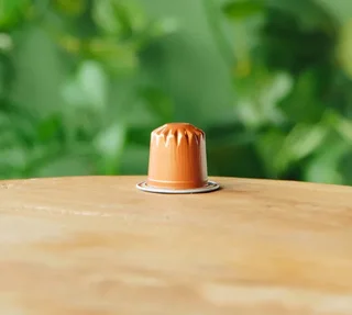 100 Συμβατές Κάψουλες Nespresso* Original Le Mélange Savannah Βιολογικός – GREEN LION COFFEE