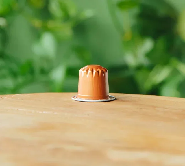 100 Συμβατές Κάψουλες Nespresso* Original Le Mélange Savannah Βιολογικός – GREEN LION COFFEE