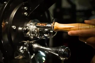 1 kg - Café em Grão Biológico Expresso Gourmet para Profissionais - Terra Etica