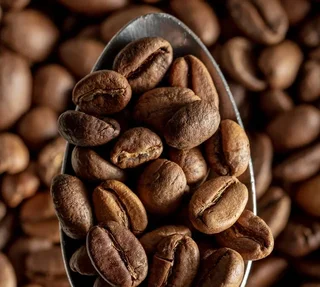 2 kg - Professional whole bean coffee - Sweet Dreams Decaf Organic - GREEN LION COFFEE