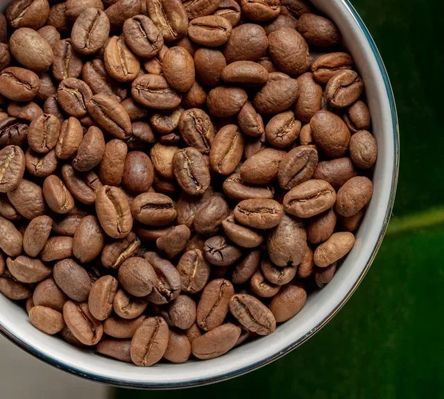 2 x 250 g - Caffè in grani Aymara Bio - GREEN LION COFFEE