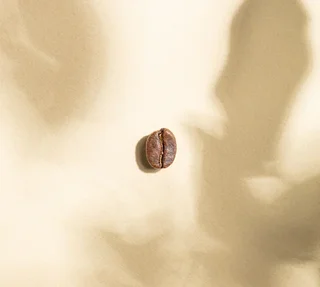 2 x 250 γρ. – Κόκκοι καφέ – Μείγμα Inca Bio – GREEN LION COFFEE