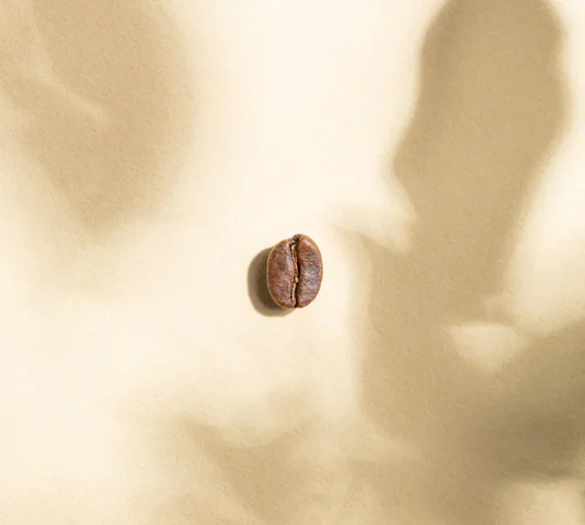 2 x 250 γρ. – Κόκκοι καφέ – Μείγμα Inca Bio – GREEN LION COFFEE