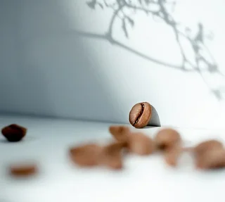 250 g - Coffee beans - Costa Rica Rio Jorco - LUGAT