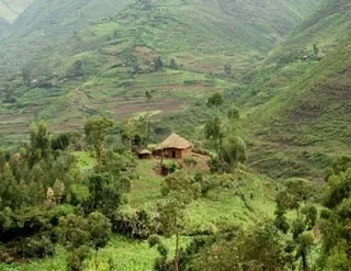 250 g - Café em grão - Etiópia Moka Nekemte Bio - LUGAT