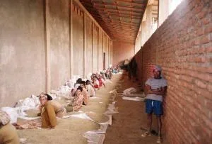 250 g - Café em grão - Etiópia Moka Nekemte Bio - LUGAT