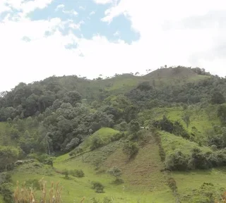 250 g - Coffee beans - Organic La Esperanza - LUGAT