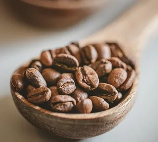 250 g - Coffee beans - Organic La Esperanza - LUGAT