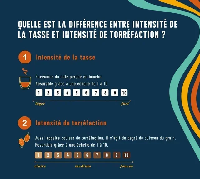 250 g - Caffè in grani - Intenso - PERLÉO