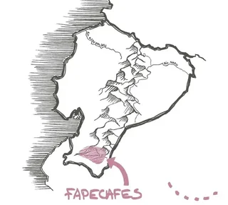 250 g - Αλεσμένος καφές - Βιολογικός Ισημερινός - TERRA ETICA