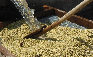 250 g - Ground coffee - Ethiopia Moka Sidamo Marabou, for filter coffee makers - LUGAT