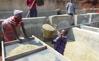 250 g – LUGAT jauhettu kahvi – Etiopian Moka Sidamo Marabou, Hario/Chemexiin