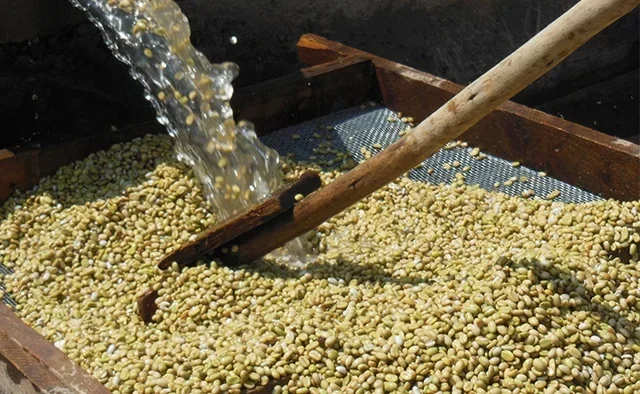 250 г – млевена кафа Moka Sidamo (Етиопија) – за плунжер – LUGAT