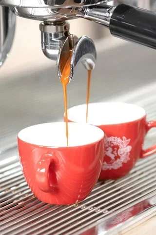 250 g - Ground coffee - Organic Blend - LUGAT