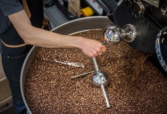 250 g - Ground coffee - Organic Blend - LUGAT