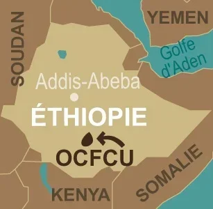 250 g - Organic Decaf Ethiopia Ground Coffee - TERRA ETICA