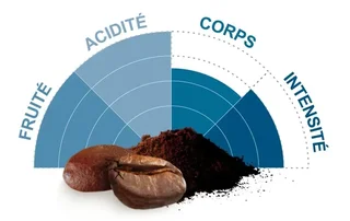 250 g - Organic Decaf Ethiopia Ground Coffee - TERRA ETICA