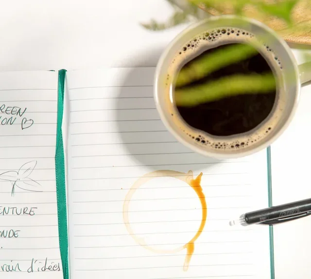 250 g – Kaffebönor – Brasilien Alisios FCCO – GREEN LION COFFEE