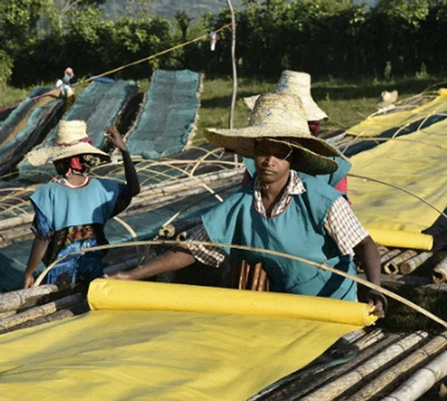 250 g - Kahvipapu - Etiopia Luomu - PERLE DE CAFÉ
