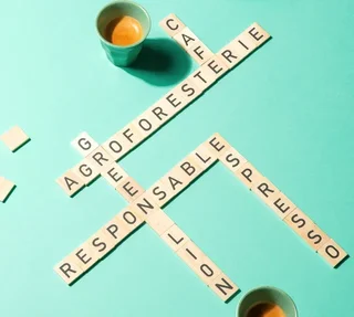 250 g - Whole Bean Coffee - La Canopée - GREEN LION COFFEE