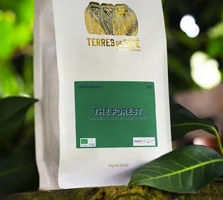 Caffè in Grani Bio The Forest 250g - TERRES DE CAFÉ