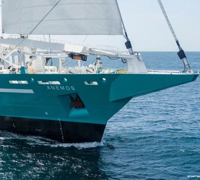 250 g - Κόκκοι καφέ - Tierra Prometida - GREEN LION COFFEE