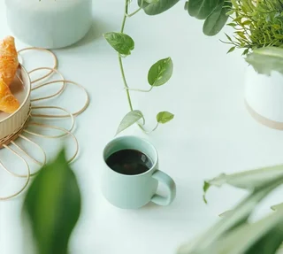 250g - Moka Baraka Organic Whole Bean Coffee for Baristas - Green Lion Coffee