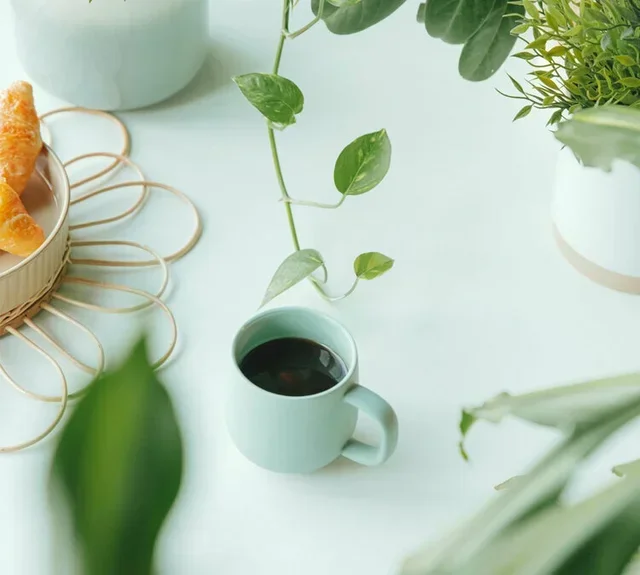 250g - Moka Baraka Organic Whole Bean Coffee for Baristas - Green Lion Coffee