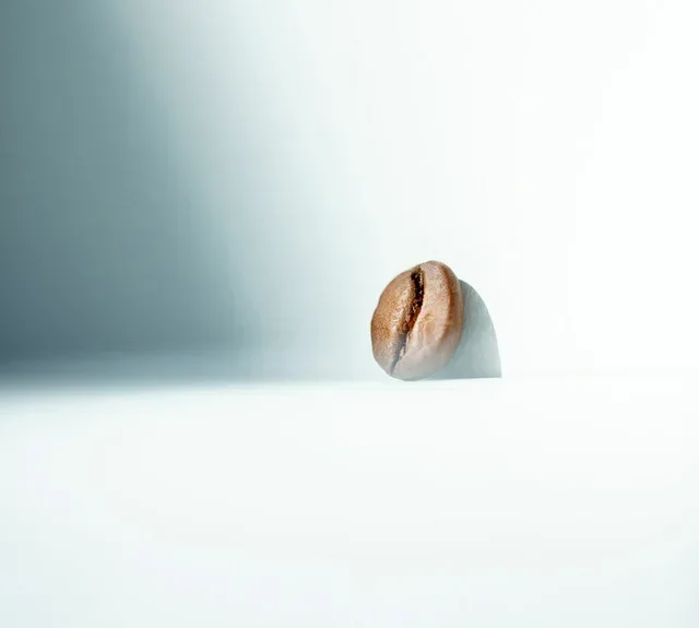 250g - Organic Ethiopia Yirgacheffe Coffee Beans - LUGAT