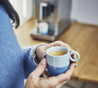 250g - Organic Ethiopia Yirgacheffe whole bean coffee for professionals - Lugat