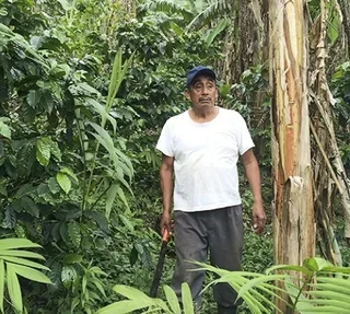 250g - Organic Mexico Sueño Whole Bean Pro Coffee - Water Decaf - Lugat