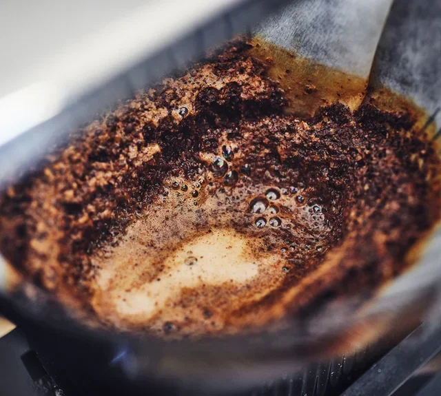 250g Caffè in Grani Biologico - Etiopia Moka Gamoji - LUGAT