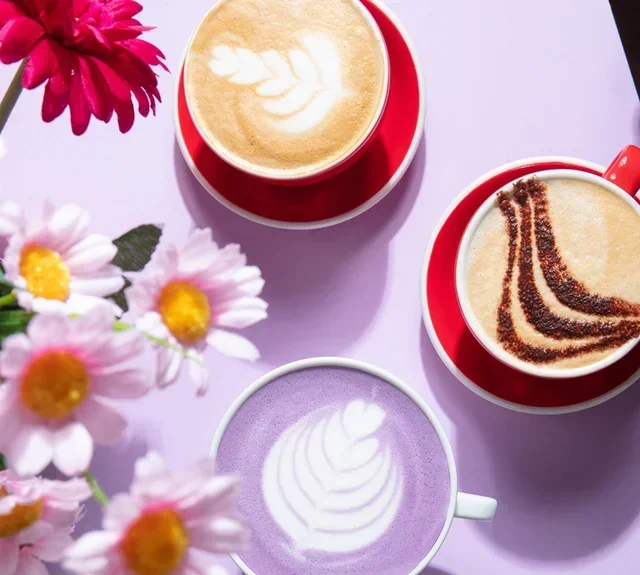 2kg Bundle - Cremoso Purissima Dark Roast Whole Bean Coffee - PERLÉO