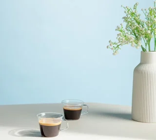 33 Nespresso* Original Compatible Capsules Lungo - Fairtrade - LA SEMEUSE