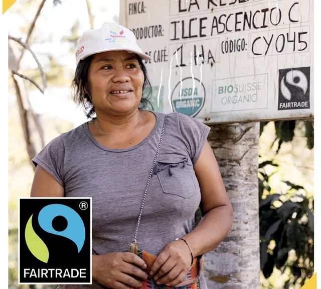 33 Nespresso* Original Compatible Capsules Lungo - Fairtrade - LA SEMEUSE