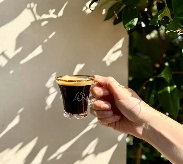 4-Pack 500 g – L'OR Amazon Lands Whole Bean Coffee