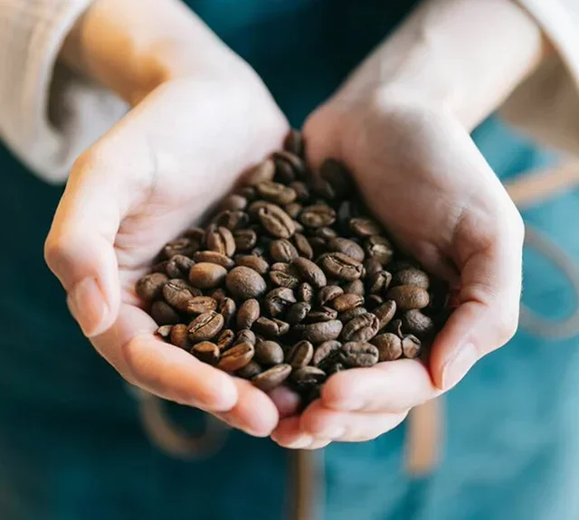 5 Kg Organic 100% Arabica Whole Bean Coffee - Cafés Preko