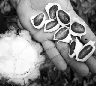 5-Pack Extra Dark Chocolate 70% Madagascar - 5x100g - CARRÉ SUISSE