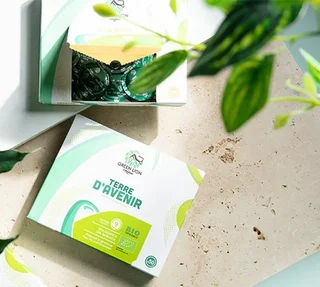 50 Capsule Nespresso* Pro Monte Verde Bio Fair Trade – GREEN LION COFFEE