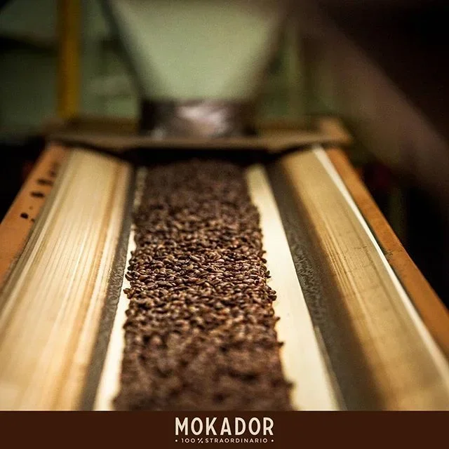 500 g - Coffee beans - Espresso Oro - MOKADOR CASTELLARI
