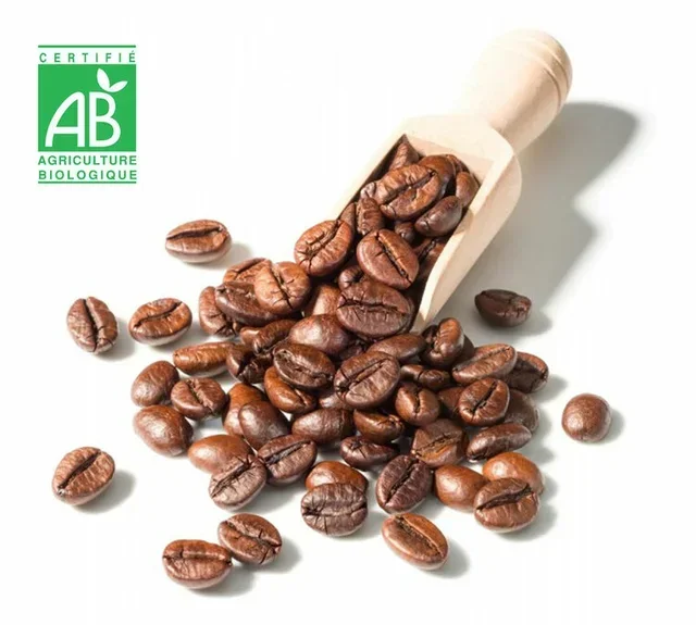500 g - Chicchi di Caffè Bio 100% Arabica Espresso - DESTINATION
