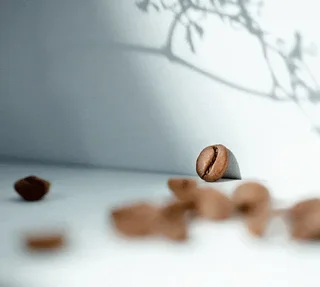 500 g - Caffè in Grani - Moka dell'Etiopia Bio - CAFÉS RICHARD